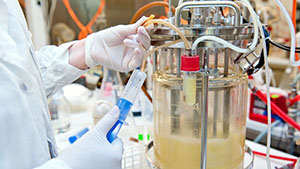 Taking sample from biotechnological bioreactor in microbiological laboratory